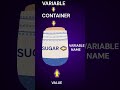 JavaScript Variable Explained with Real-Life Example #javascript #codingforbeginners #trending