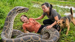 72 Hours of Terror: Giant Python Ambushes Young Girl in Wilderness | Breathtaking Rescue Scene!
