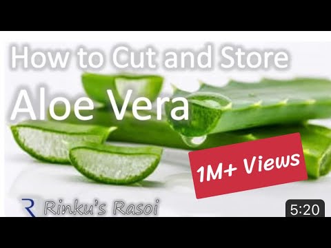 How To Cut And Store Aloe Vera Rinkusrasoi Youtube