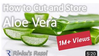 How to Cut and Store Aloe Vera | RinkusRasoi