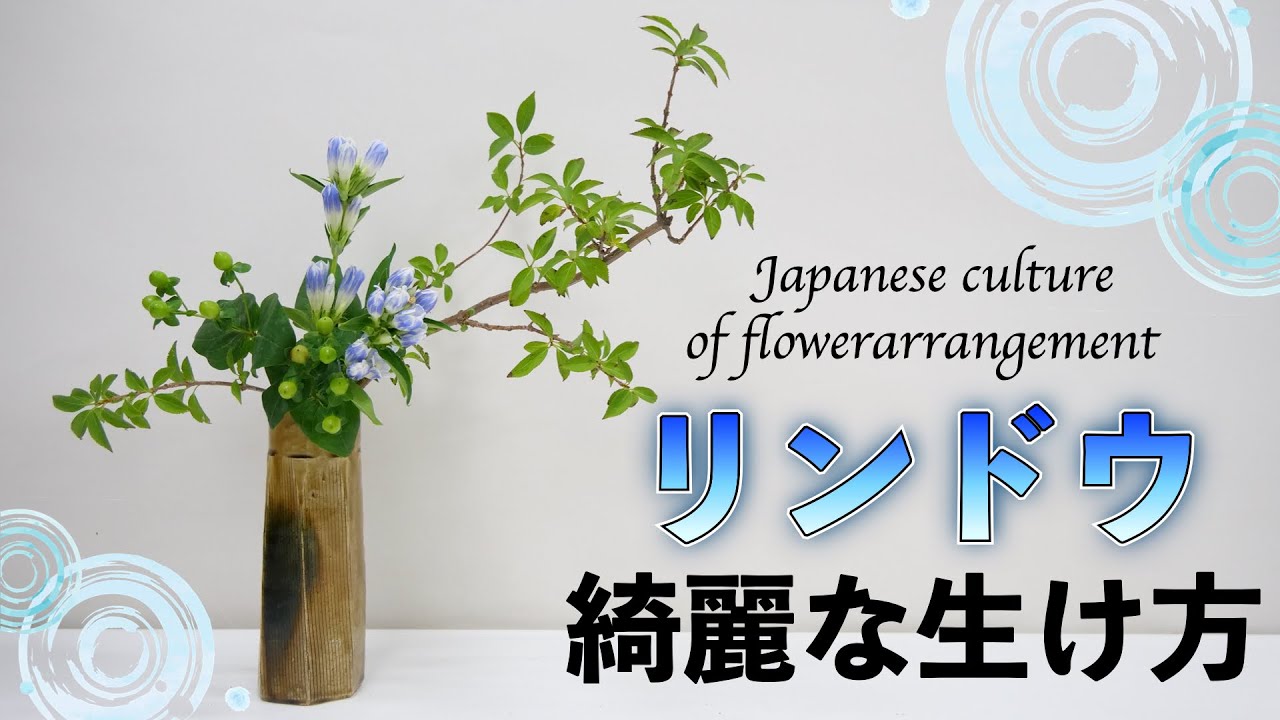 [Японская культура] Красивые способы аранжировки цветов горечавки [Икебана]