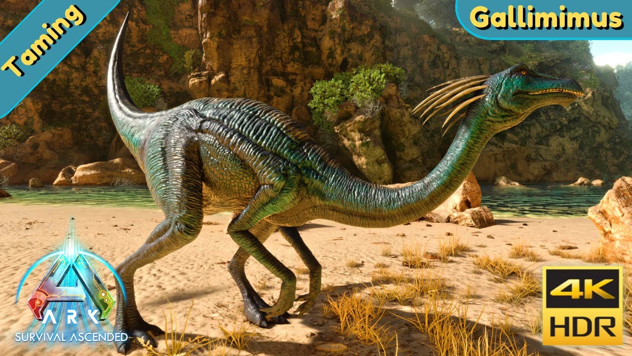 ARK Survival Ascended : Tame a Gallimimus - YouTube