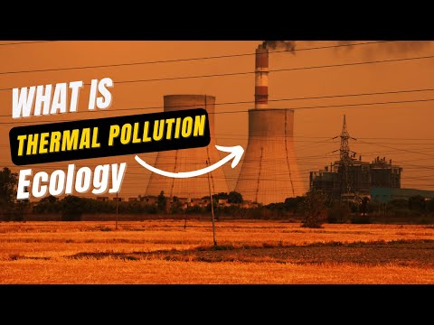 Thermal Pollution 👌 : What is thermal pollution, causes, effects & examples 🔥 #Ecology
