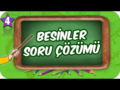 4. Sınıf Fen: Besinler Soru Çözümü #2022