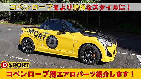 D Sport Youtube
