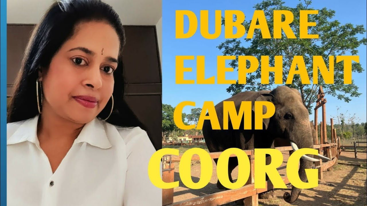Dubare elephant camp coorg/ ಕೊಡಗಿನಲ್ಲಿರುವ ದುಬಾರೆ ಆನೆ ಶಿಬಿರ #dubareelephantcamp #coorg  @mamatha-k3g 