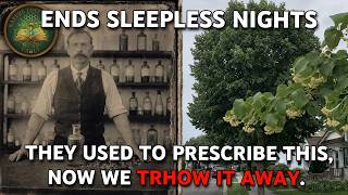 It Grows on Your Street, Helps You Calm Nerves and Sleep. Big Pharma Sells You Their Version Instead screenshot 5