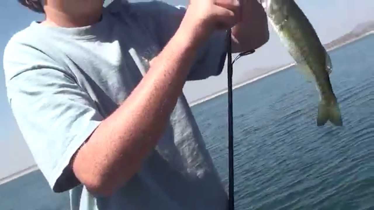 Diamond Valley Lake Bass fishing drop shot YouTube