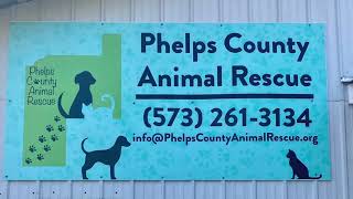 Phelps County Animal Rescue Hutcheson Ford Contest