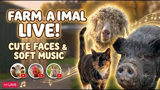 Peaceful Farm Life: Cute Animal Faces & Gentle Background Music 🌾 ✨ screenshot 1