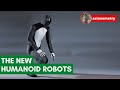 The humanoid robot dream