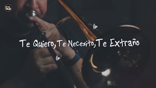 TE QUIERO, TE NECESITO, TE EXTRAÑO - SALSA VISTA