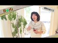 真冬に植物が萎れたら...？