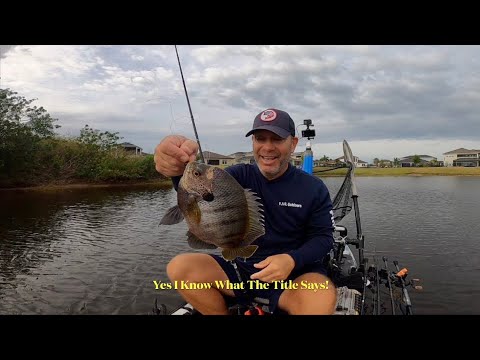 An Absolutely Insane Day of Largemouth Bass Fishing