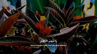 Download Lagu Story WA - Sholawat Mahalul Qiyam MP3