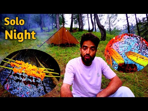 No Tent, One Night In The Wild || Forest Night Camping || Solo Sahir ||