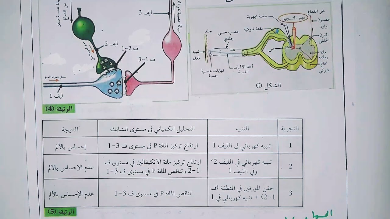 الاتصال العصبي/تأثير المخدرات على مستوى المشابك2 _ باك2021_ شعبةعلوم تجريبية.