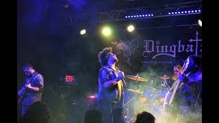 Cognitive Dissonance Live @ Dingbatz 3/25/18