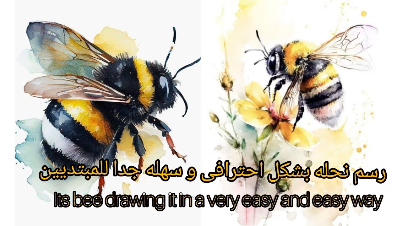 ۰-رسم نحله بطریقه احترافیه/نقاشی زنبور بصورت حرفه ای/۰Its bee drawing ...