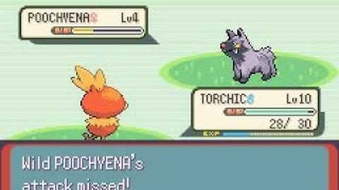 Pokemon Emerald Walkthrough Part 3