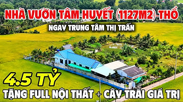 Tập 267| Chủ Đi Nước Ngoài Bán Nhà Vườn Tâm Huyết Tặng Full Nội Thất | Trường Sơn Bán Nhà Bình Chánh