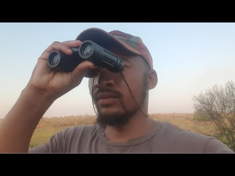 UNDERWATER DREAMS | Ukuphupha ungaphansi kwamanzi, olwandle, esizibeni noma emlanjeni