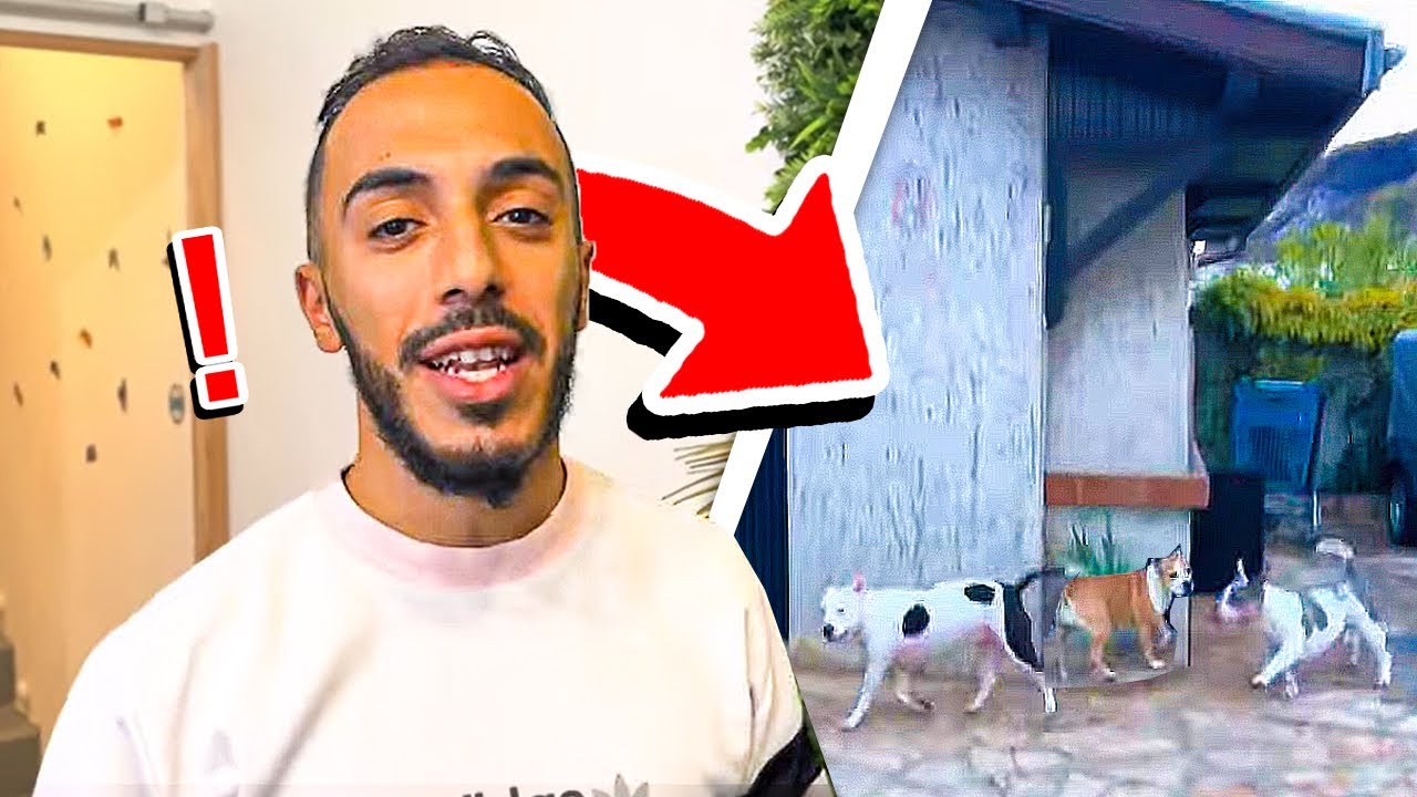 MES CHIENS M’ONT CHOQUÉ..!