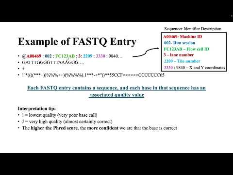 Understanding the FASTQ File Format