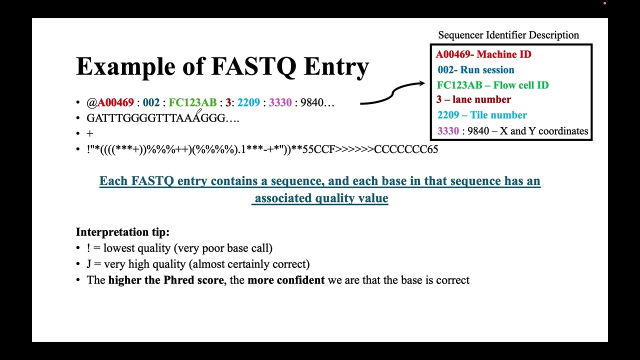 Understanding the FASTQ File Format