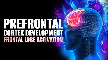 Prefrontal Cortex Development | Cognitive Therapy For Anxiety | Frontal Lobe Activation Meditation