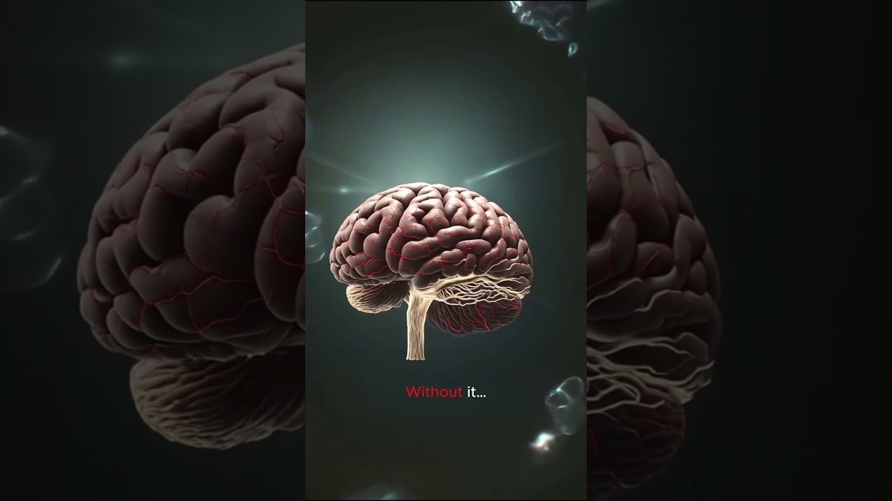 Sleep Deprivation Kills Neurons