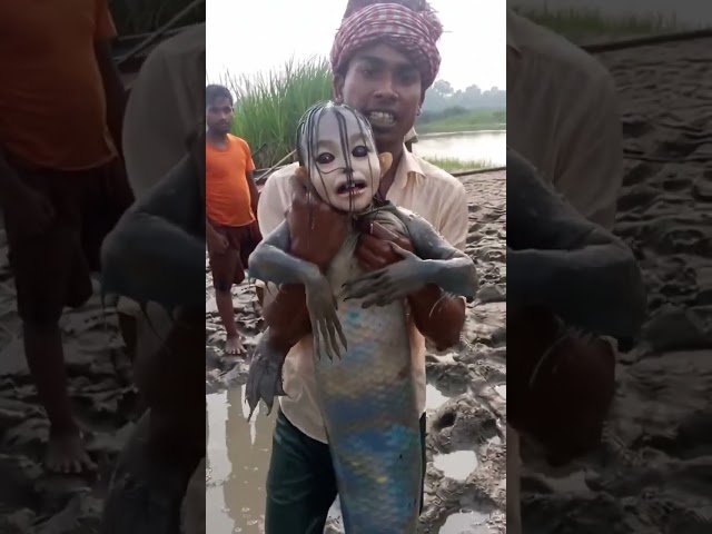 It looks so weird! #shorts #trending #funny #satisfying
