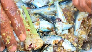 JEJAK PETUALANG | Geliat Petualangan Tanah Dewata (08/10/19) Part 2