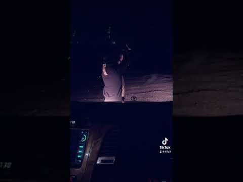 الشاعر ناصر الفراعنة ملوك الجن 