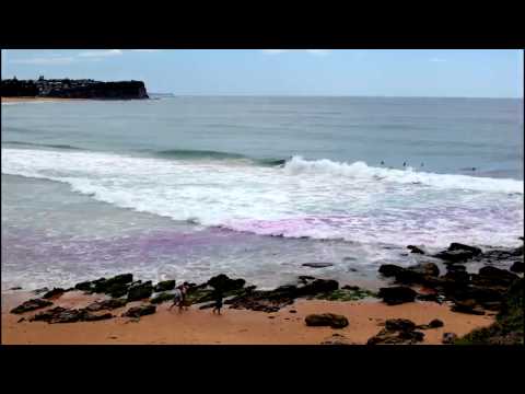 What happens when you release purple dye into an ocean rip?