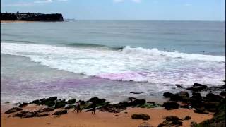 What happens when you release purple dye into an ocean rip?