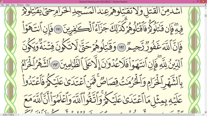 30 см-лік сиқырды сорады 30 см-лік сиқырды сорады