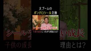 シール交換が子供の成長に繋がる理由は？【秘密のママ園】シーズン2は毎週日曜よる9時から放送！過去回はアベマで全話無料配信中！