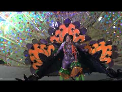 Toronto Caribbean Carnival Caribana King Queen Showcase 2025 Parade Of Female Individuals