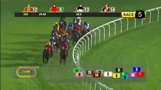 [新加坡賽馬] 20171027 第5場：祝福你憑外欄場地較佳掄元