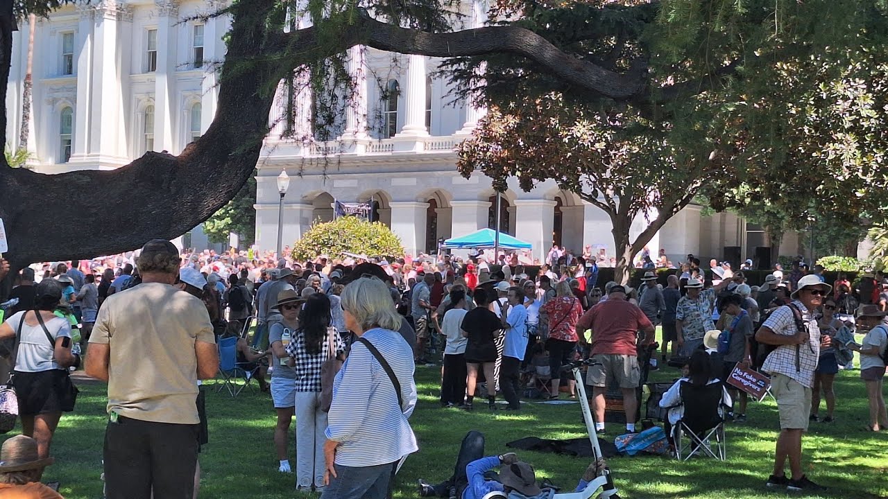 California AB 495 Protest - YouTube