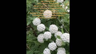 ഏതോ നിദ്രതൻ | Etho Nidrathan ….#malayalam #song