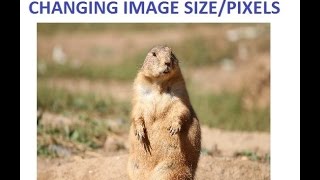 Best program or application for changing image pixels or simple plain image resizing screenshot 4