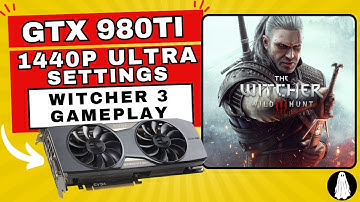 Witcher 3 MODDED: Gtx 980 Ti 1440p Gameplay (SHOWS FPS)