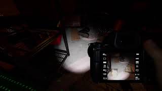 Livestream von GamerLetsplay