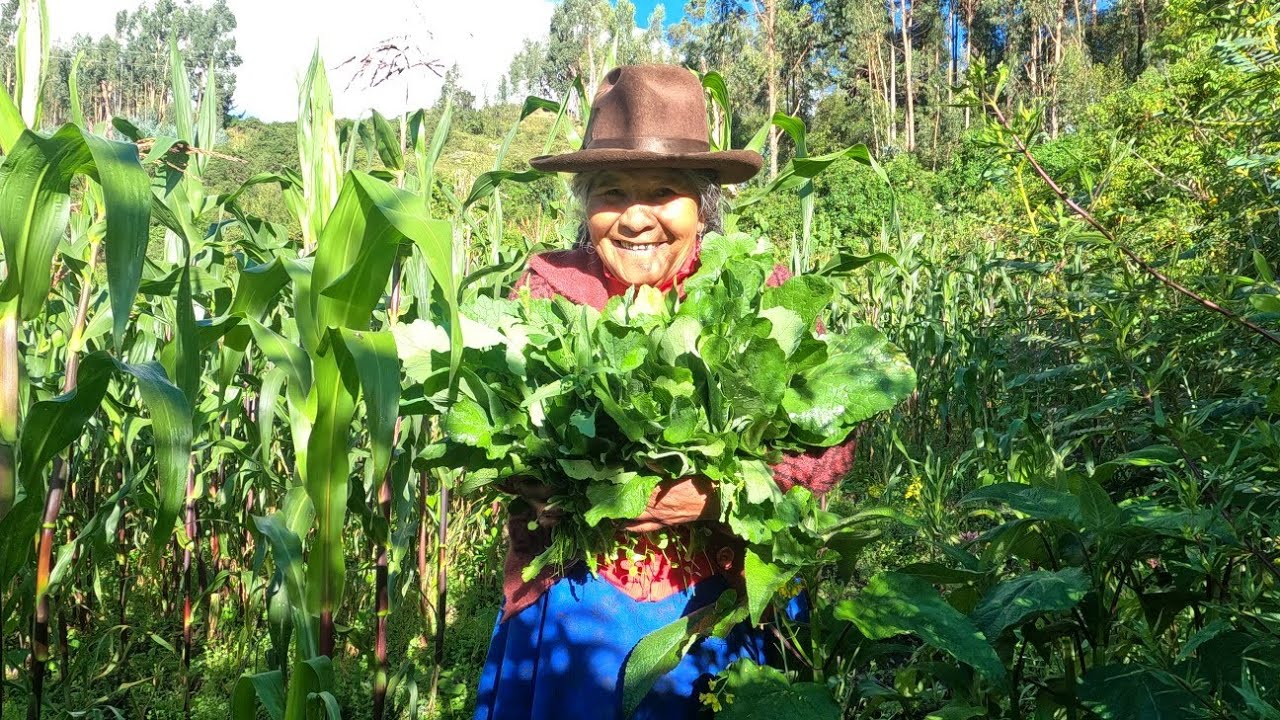 Picante de Yuyo con Segundo de Alverja, Comida Antigua muy Nutritivo