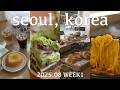 【韓国vlog】東大門(新堂)・蚕室(松坡)グルメ&カフェグルメ巡り!カムジャタン|ホルモン鍋|ベーグル