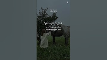 قرآن كريم #اللهم_صل_على_محمد_وال_محمد #اكسبلور_explore #اكسبلور #المصحف #الرحمن #لايك