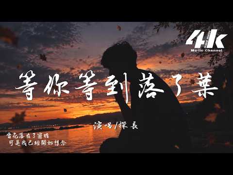 探長 - 等你等到落了葉『我等你等到 落了葉下了雪冷了天，問你可不可以 停靠在我左肩。』【高音質HD|動態歌詞Lyrics】♫·翻唱歌曲 (原唱:潘成)