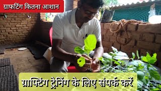 Grafting training program for Tomato, potato & Brinjal